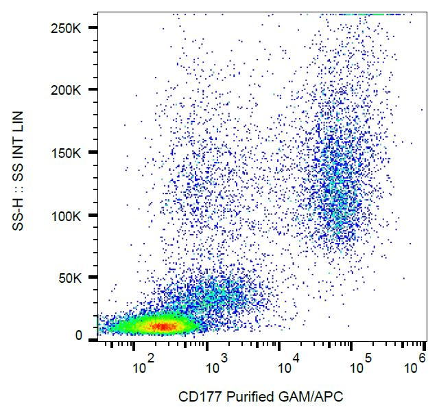 CD177 Antibody (clone MEM-166)