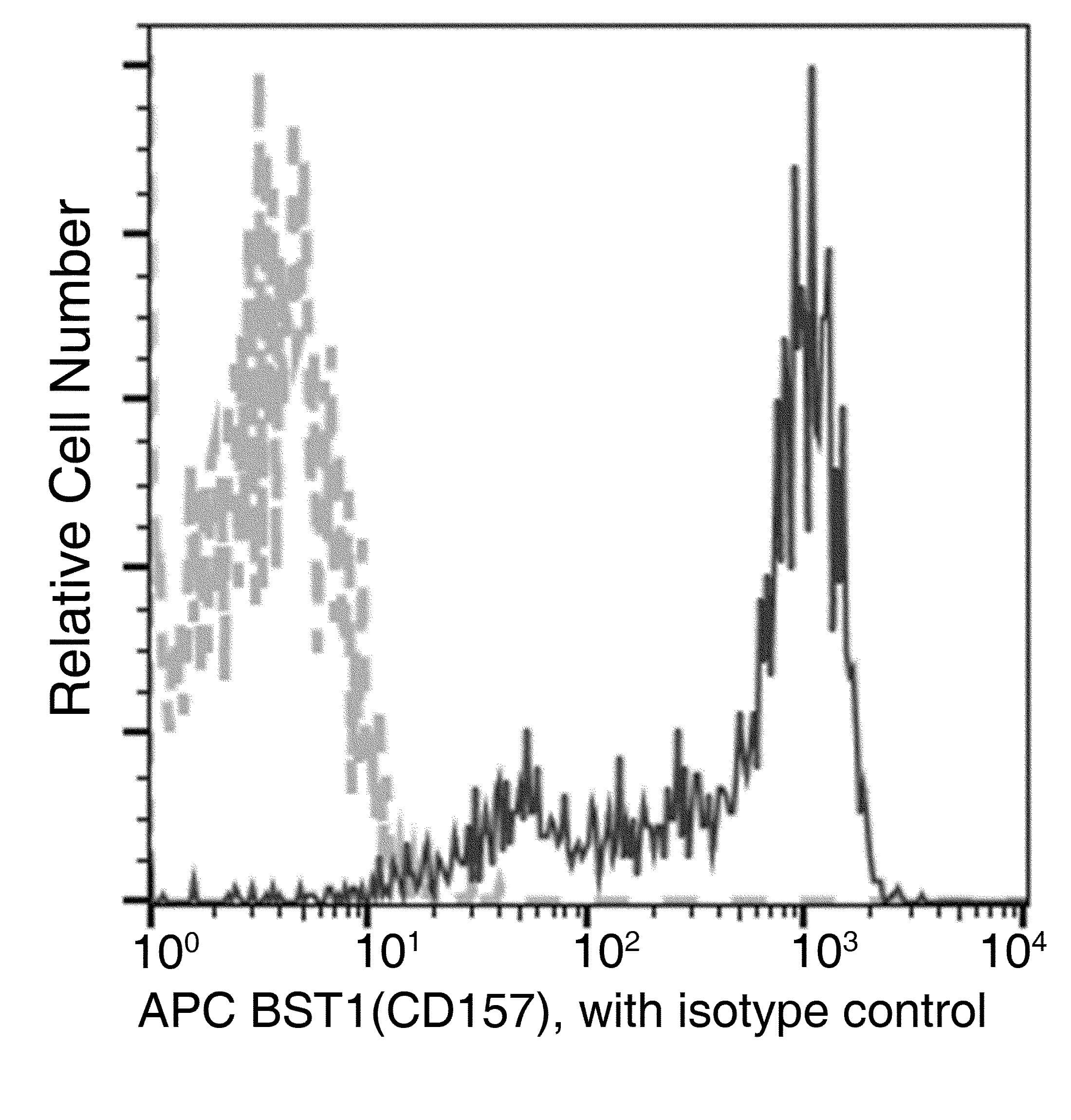 Monoclonal Mouse anti-Human CD157 Antibody (clone 10, APC)