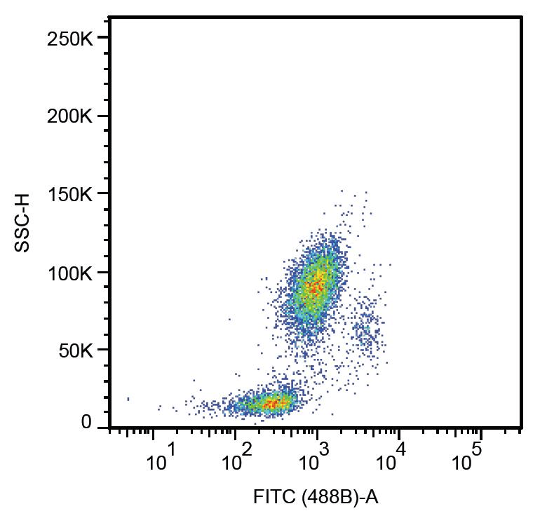 Monoclonal Mouse anti-Human CD33 Antibody (clone HIM3-4)