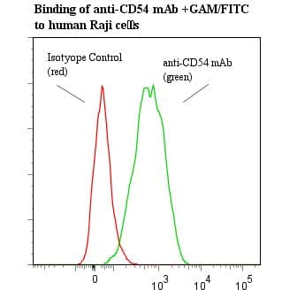 ICAM-1 / CD54 Antibody (clone 15.2)