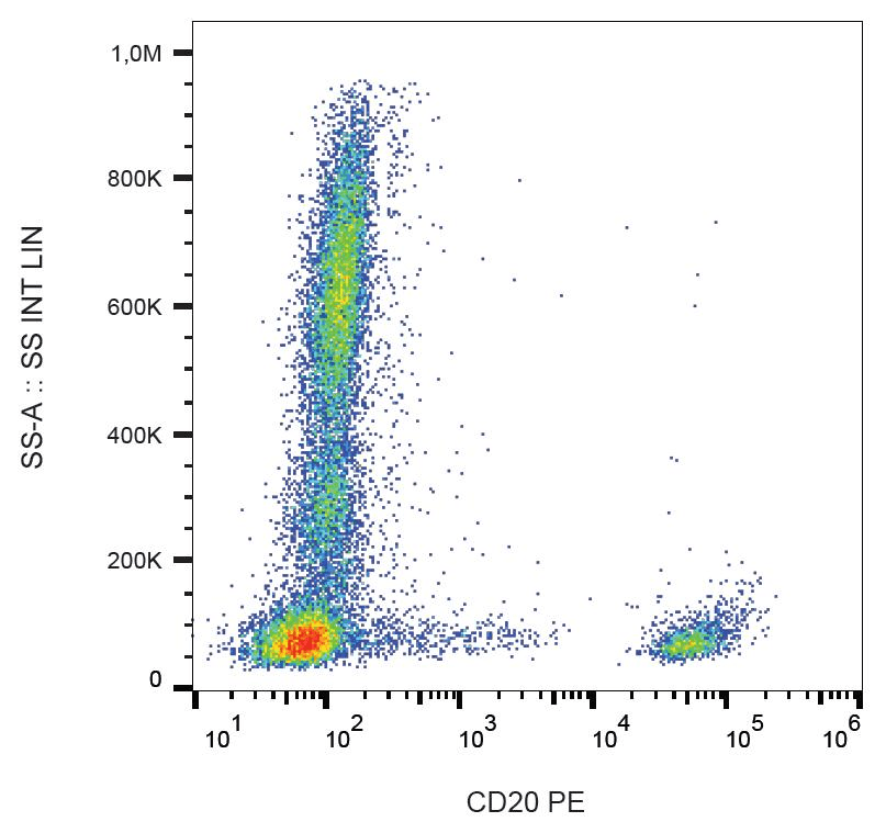 CD20 Antibody (clone 2H7, PE)