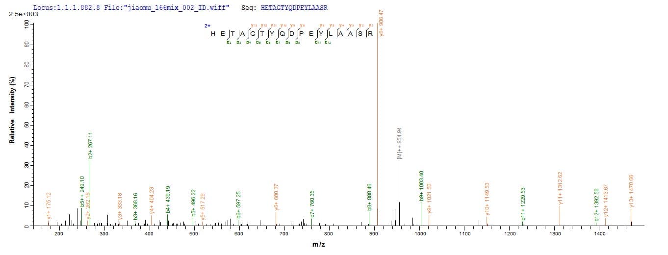 Pseudomonas azotoformans laaA Protein (Recombinant 10His-SUMO, N-terminus + Myc, C-terminus)