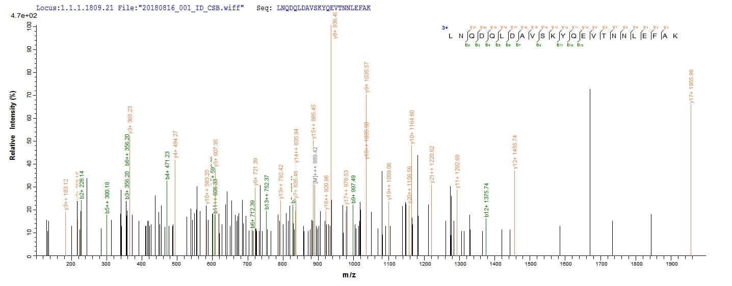 Human CAPRIN1 Protein (Recombinant 10His, N-terminus)