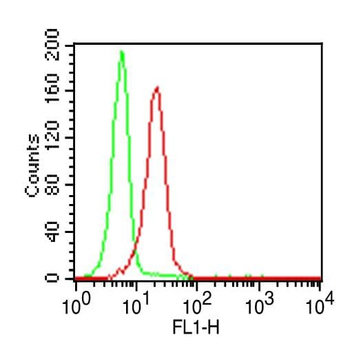 TLR2 Antibody (FITC)