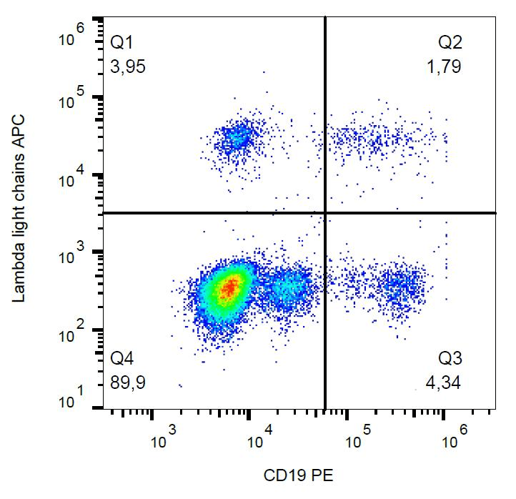 Anti-Mouse Lambda Light Chain Secondary Antibody (clone 1-155-2, APC)
