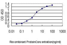 BCL2L1 / BCL-XL Antibody (clone 3E2-2A5)