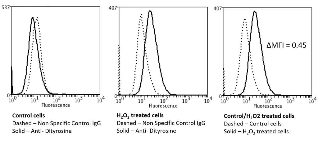 Dityrosine Antibody (clone 10A6, APC)