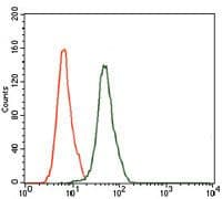 Monoclonal Mouse anti-Human MAPK8 / JNK1 Antibody (clone 100000, WB)
