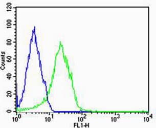 FABP3 / H-FABP Antibody