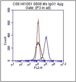 NT5E / eNT / CD73 Antibody (clone 4G4)
