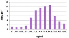 Human CCL21 / SLC Protein (Recombinant)