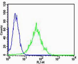 Polyclonal Rabbit anti-Human PSEN2 / Presenilin 2 Antibody (aa32-65, IHC, WB)
