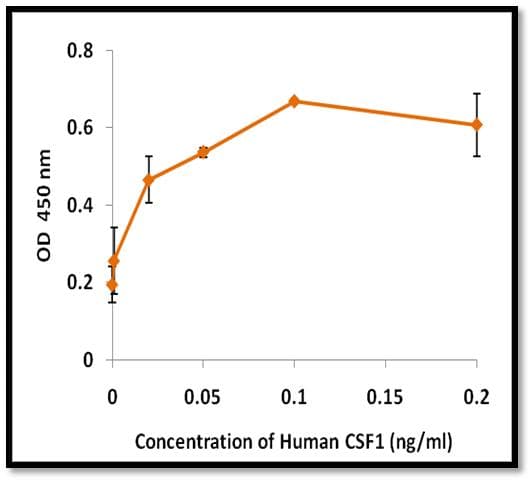 Human CSF1 / MCSF Protein (Recombinant)