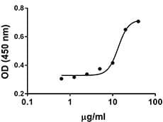 Human HMG1 / HMGB1 Protein (Recombinant)