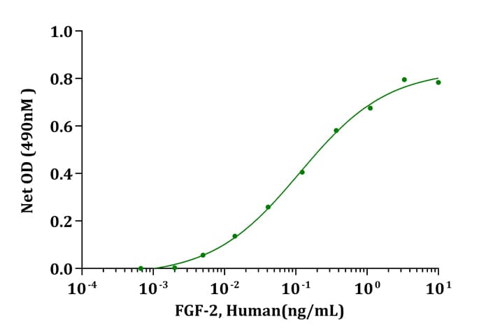 Human FGF2 / Basic FGF Protein (Recombinant)