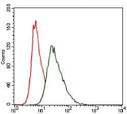 Monoclonal Mouse anti-Human HSF4 Antibody (clone 20000000, WB)