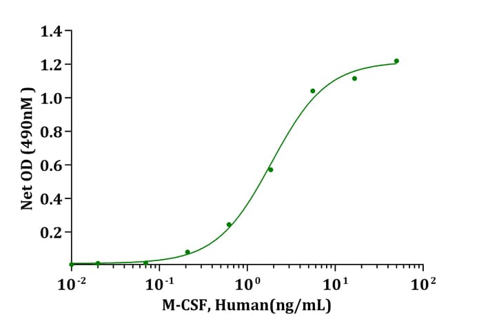 Human CSF1 / MCSF Protein (Recombinant)