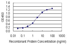 ITSN1 / ITSN Antibody (clone 2F12)