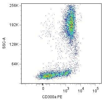 Monoclonal Mouse anti-Human CD300A Antibody (clone MEM-260, WB)
