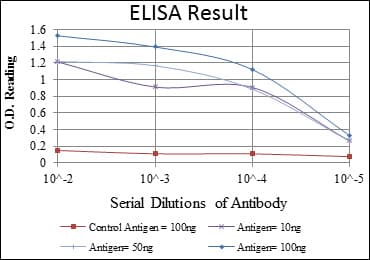 AURKA / Aurora-A Antibody (clone 1F8)