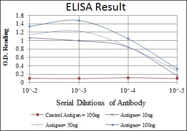 Monoclonal Mouse anti-Human ATM Antibody (clone 5C5, aa2705-2820, WB)