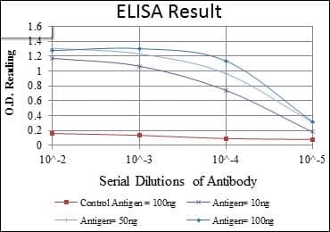 Monoclonal Mouse anti-Human CD1A Antibody (clone 6H3, WB)