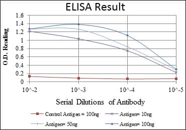 Monoclonal Mouse anti-Human MAPK6 / ERK3 Antibody (clone 4E8, WB)