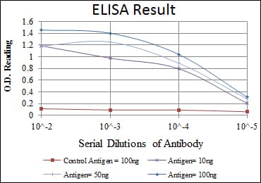 RBP4 Antibody (clone 4C2)