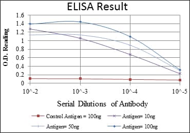 BID Antibody (clone 3C5)