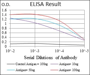 RAF1 / RAF Antibody (clone 4G4)