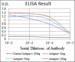 FN1 / Fibronectin Antibody (clone 2F4G2)