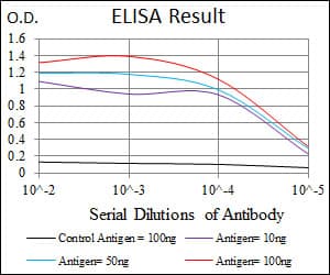 Monoclonal Mouse anti-Human HEXA Antibody (clone 3F10, WB)