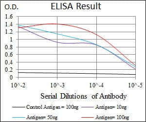 Monoclonal Mouse anti-Human RAP1A Antibody (clone 5F8, WB)
