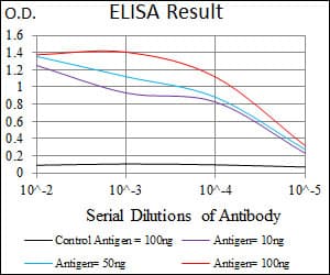 Monoclonal Mouse anti-Human VAV1 / VAV Antibody (clone 2E+11, WB)