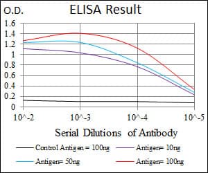 rnfH Antibody (clone 8H10)