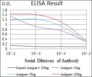 MEF2C Antibody (clone 6H2G2)