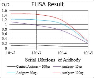 CD74 / CLIP Antibody (aa1-106, clone 2D1B3)