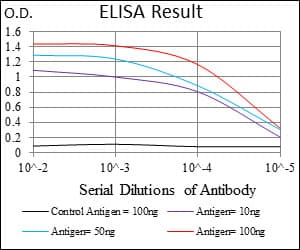 DCN / Decorin Antibody (aa263-324, clone 5E8E7)