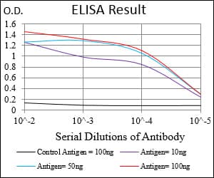 Monoclonal Mouse anti-Human EGFR Antibody (clone 7A6F12, aa693-893, IHC, WB)