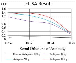 Monoclonal Mouse anti-Human MAPK14 / p38 Antibody (clone 10B11C8, aa299-360, IHC, WB)