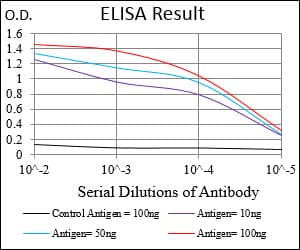SOX10 Antibody (aa147-252, clone 2E7B5)