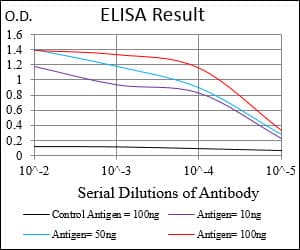 CDX2 Antibody (aa176-303, clone 2F12A6)