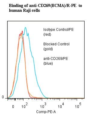 Monoclonal Mouse anti-Human TNFRSF17 / BCMA Antibody (clone ANC3B1, RPE)
