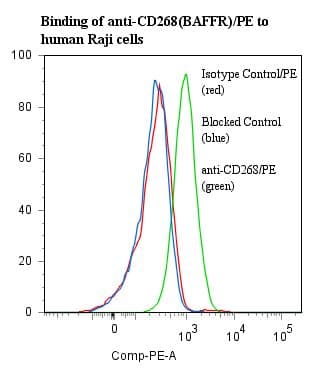 BAFF Receptor / CD268 Antibody (clone ANC268.2/6E6, RPE)