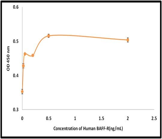 Human BAFF Receptor / CD268 Protein (Recombinant)