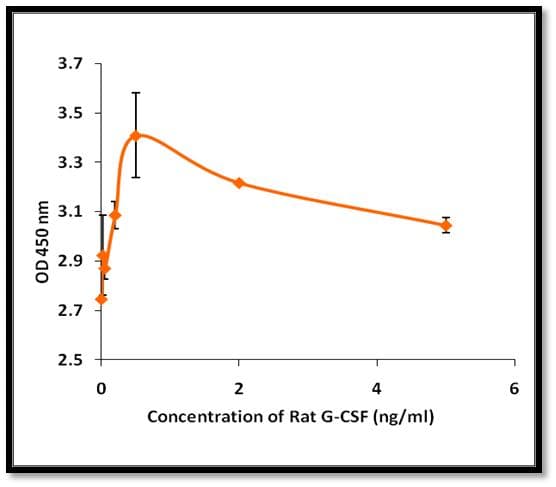 Rat CSF3 / G-CSF Protein (Recombinant)