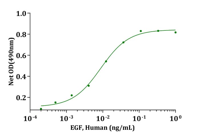 Human EGF Protein (Recombinant)
