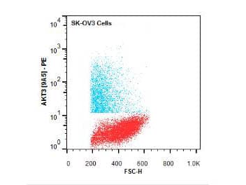AKT3 Antibody (Internal, clone 9A5.H9.G7, RPE)