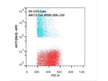 Monoclonal Mouse anti-Human AKT3 Antibody (clone 9A5.H9.G7, APC, Internal, IHC, IF, WB)