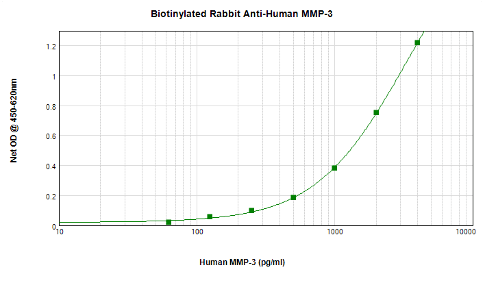 Polyclonal Rabbit anti-Human MMP3 Antibody (Biotin, WB)